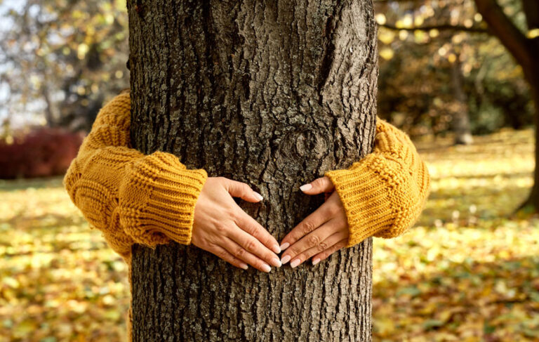 Eine Frau umarmt ein Baum und symbolisiert damit ein starkes Immunsystem im Herbst